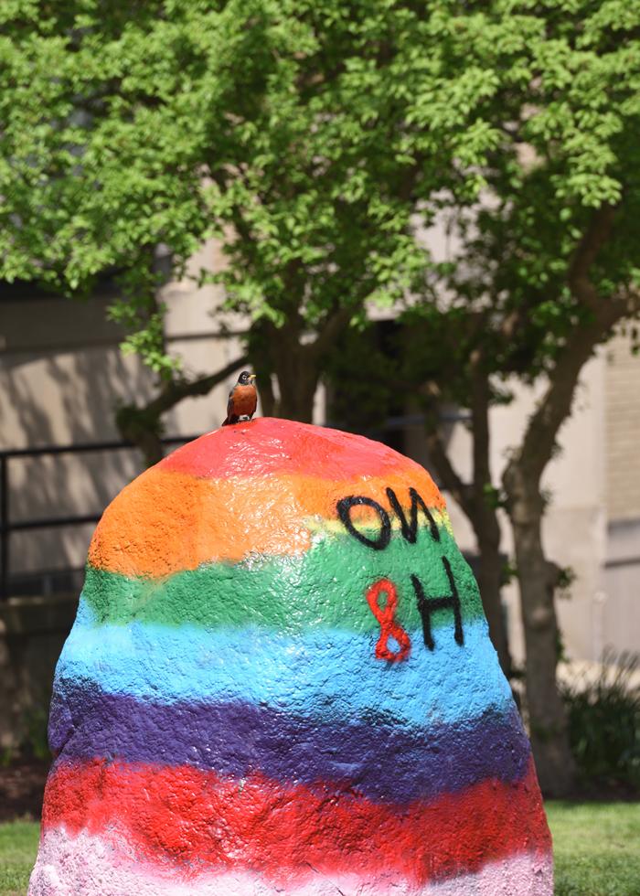 Students from the organization Pride in STEMM at The University of Akron